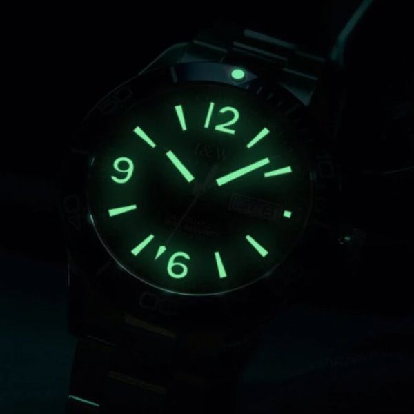 Carnival BlueMarine Nylon, 2 ремінці 3684 фото
