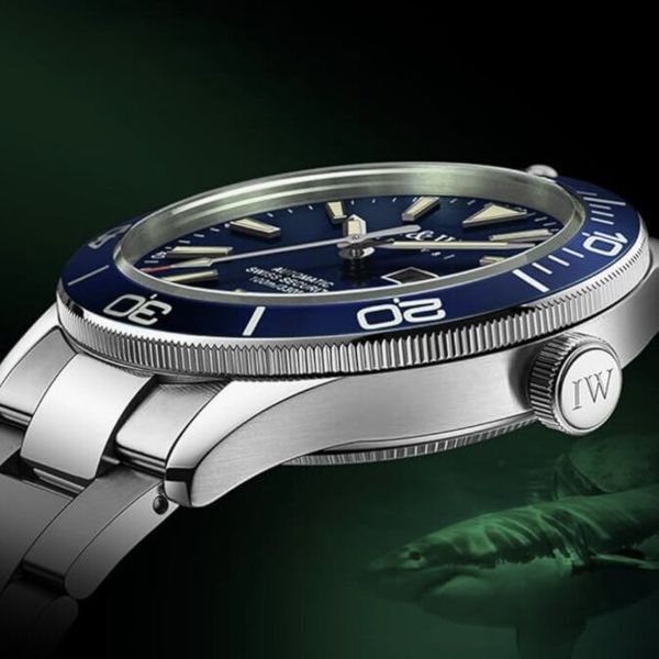 Carnival BlueMarine Nylon, 2 ремінці 3684 фото